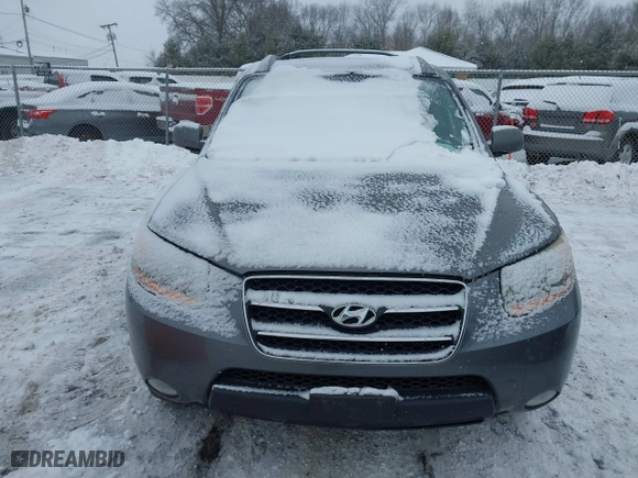 2009 Hyundai Santa Fe SE with VIN 5NMSH13E19H287053, listed as a IAAI auction lot 41600820 with 0 mi miles. Bid and sale history available at carsss.com. Image 13.