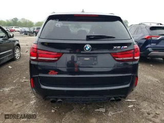 2016 BMW X5 M with VIN 5YMKT6C53G0R78343, listed as a Copart auction lot 53502584 with 123,914 mi miles. Bid and sale history available at carsss.com. Image 6.