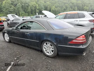 2002 Mercedes-Benz CL with VIN WDBPJ75J12A024650, listed as a Copart auction lot 66731074 with 109,042 mi miles and Salvage Title. Bid and sale history available at carsss.com. Image 2.