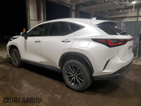2024 Lexus NX with VIN JTJAGCEZ2R2010357, listed as a Copart auction lot 88325385 with 42,082 mi miles and Salvage Title. Bid and sale history available at carsss.com. Image 2.