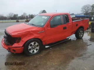 2013 Ford F-150 XL with VIN 1FTFX1EFXDFA24253, listed as a Copart auction lot 44145055 with Not Provided miles and Salvage Title. Bid and sale history available at DreamBid. Image 1.