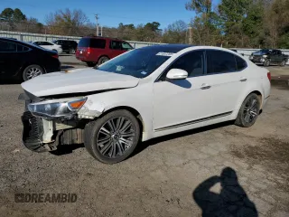 2014 Kia Cadenza Premium with VIN KNALN4D75E5120994, listed as a Copart auction lot 41607295 with 133,936 mi miles and Salvage Title. Bid and sale history available at DreamBid. Image 1.