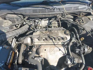 1998 Honda Accord LX z VIN 1HGCG5641WA215469, wystawiony jako IAAI lot #41801430 z przebiegiem 228 903 mil mil oraz . Historia ofert i sprzedaży dostępna na DreamBid. Obrazek 10.
