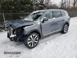 2020 Kia Telluride S with VIN 5XYP6DHC2LG040954, listed as a Copart auction lot 46361065 with 87,273 mi miles and Salvage Title. Bid and sale history available at DreamBid. Image 1.
