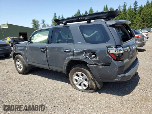 2024 Toyota 4Runner SR5 with VIN JTEMU5JR5R6215525, listed as a Copart auction lot 59391125 with 13,084 mi miles and Salvage title. Bid and sale history available at DreamBid. Image 2.