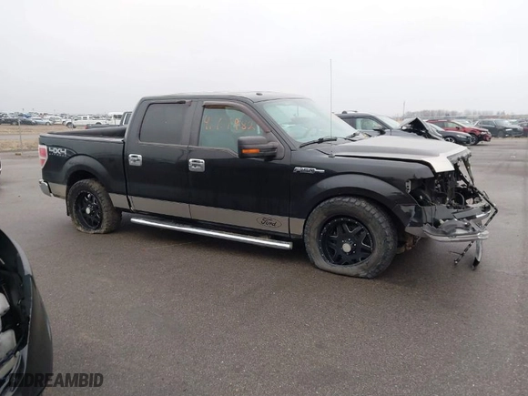 2013 Ford F-150 XL with VIN 1FTFW1EF8DFC42906, listed as a IAAI auction lot 41717982 with 178,821 mi miles. Bid and sale history available at carsss.com. Image 13.