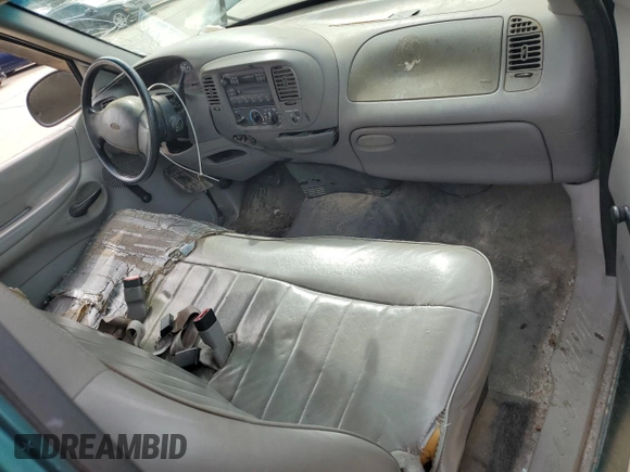 1998 Ford F-150 with VIN 1FTDF1726WNA02621, listed as a Copart auction lot 74929234 with 188,441 mi miles and Salvage title. Bid and sale history available at DreamBid. Image 8.