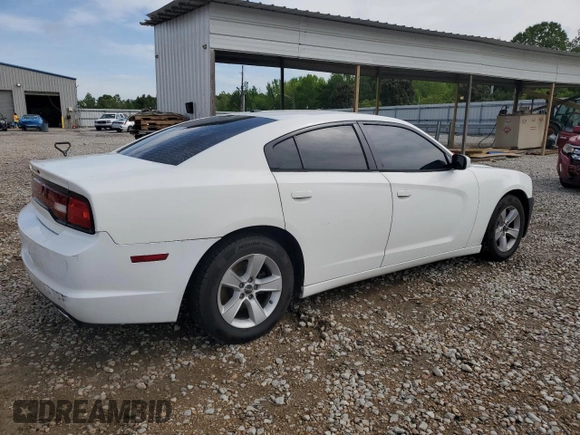 2014 Dodge Charger SE with VIN 2C3CDXBGXEH312192, listed as a Copart auction lot 54037785 with 168,626 mi miles and Salvage Title. Bid and sale history available at DreamBid. Image 3.