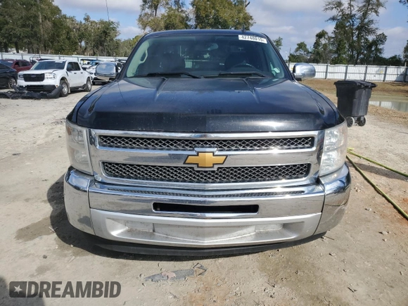 2013 Chevrolet Silverado 1500 LT with VIN 1GCRCSE08DZ410243, listed as a Copart auction lot 42748015 with 176,897 mi miles and Salvage Title. Bid and sale history available at DreamBid. Image 5.