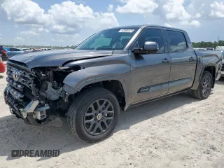 2024 Toyota Tundra Platinum with VIN 5TFNA5DB2RX180808, listed as a Copart auction lot 63900525 with Not provided miles and Salvage title. Bid and sale history available at DreamBid. Image 1.