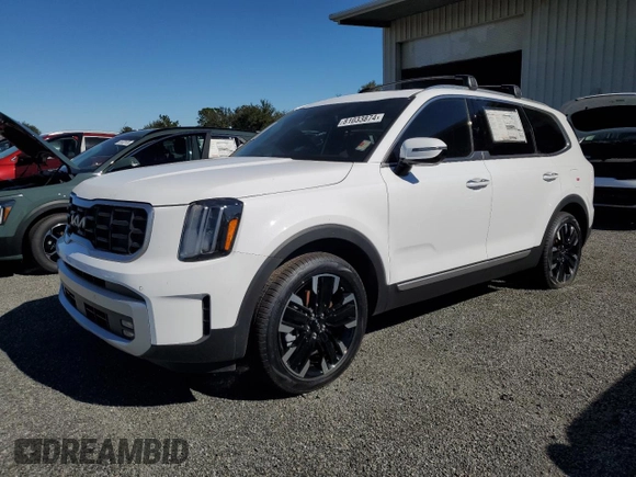 2024 Kia Telluride SX with VIN 5XYP54GC0RG552256, listed as a Copart auction lot 81033874 with Not provided miles and Salvage title. Bid and sale history available at DreamBid. Image 1.