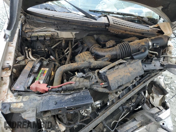 2010 Ford F-150 XL with VIN 1FTFW1EV8AFD85065, listed as a Copart auction lot 57336145 with Not provided miles and Salvage title. Bid and sale history available at DreamBid. Image 11.