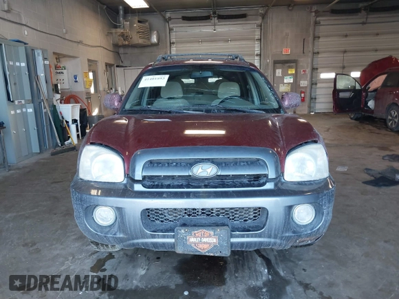2005 Hyundai Santa Fe GLS with VIN KM8SC73EX5U935778, listed as a IAAI auction lot 41401893 with 248,365 mi miles. Bid and sale history available at carsss.com. Image 12.