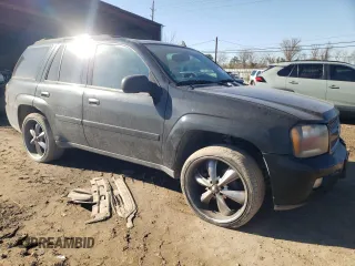 2008 Chevrolet TrailBlazer 1LT with VIN 1GNDT13S582202089, listed as a Copart auction lot 89358285 with 176,407 mi miles and Salvage Title. Bid and sale history available at DreamBid. Image 4.