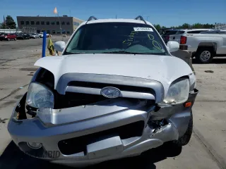 2006 Hyundai Santa Fe GLS with VIN KM8SC73E16U109810, listed as a Copart auction lot 58109304 with 262,562 mi miles and Salvage Title. Bid and sale history available at carsss.com. Image 5.