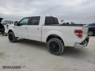 2013 Ford F-150 XL with VIN 1FTFW1CT0DKE69667, listed as a Copart auction lot 46182965 with 206,382 mi miles and Clean Title. Bid and sale history available at carsss.com. Image 2.