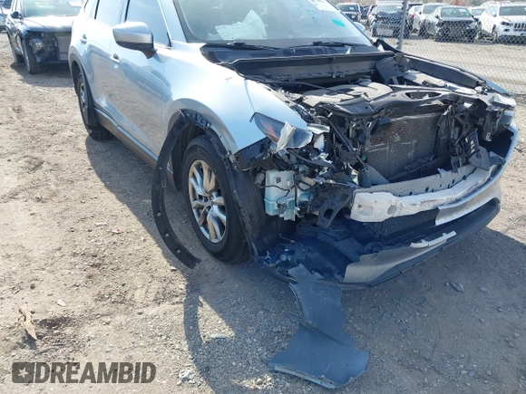 2017 Mazda CX-9 Touring with VIN JM3TCBCY7H0132466, listed as a IAAI auction lot 40740017 with 160,655 mi miles. Bid and sale history available at carsss.com. Image 17.