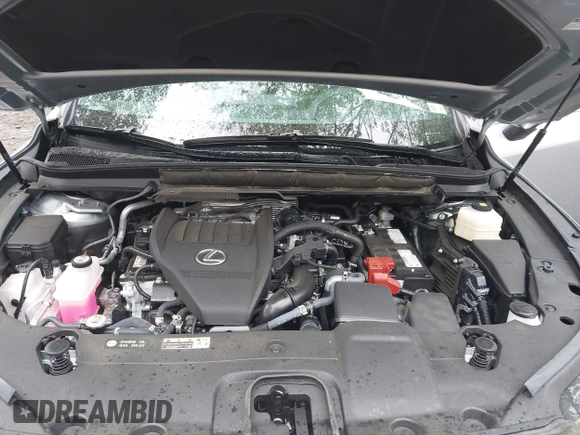 2024 Lexus RX 350 с VIN 2T2BAMCA7RC041967, выставлен на аукционе IAAI как лот 42335127 с пробегом 21 519 миль миль и . История ставок и продаж доступна на DreamBid. Изображение 10.