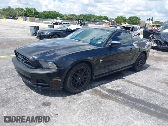 2013 Ford Mustang V6 with VIN 1ZVBP8AM5D5263496, listed as a IAAI auction lot 42580278 with 107,040 mi miles and . Bid and sale history available at DreamBid. Image 18.