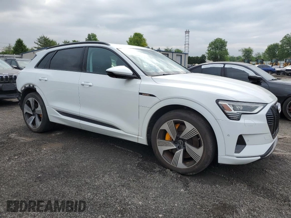 2023 Audi e-tron Premium Plus with VIN WA1LAAGE4PB003588, listed as a Copart auction lot 56502595 with 13,866 mi miles and Salvage title. Bid and sale history available at DreamBid. Image 4.