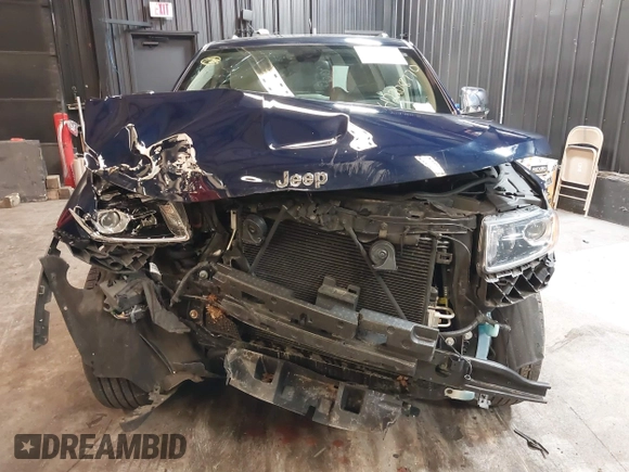 2016 Jeep Grand Cherokee Limited 75th Anniversary with VIN 1C4RJFBG8GC415366, listed as a IAAI auction lot 42208770 with 51,580 mi miles and . Bid and sale history available at DreamBid. Image 6.