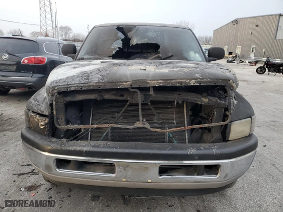 1999 Dodge Ram 1500 with VIN 3B7HF13Z5XG236246, listed as a Copart auction lot 41916105 with 0 mi miles and Salvage Title. Bid and sale history available at carsss.com. Image 5.