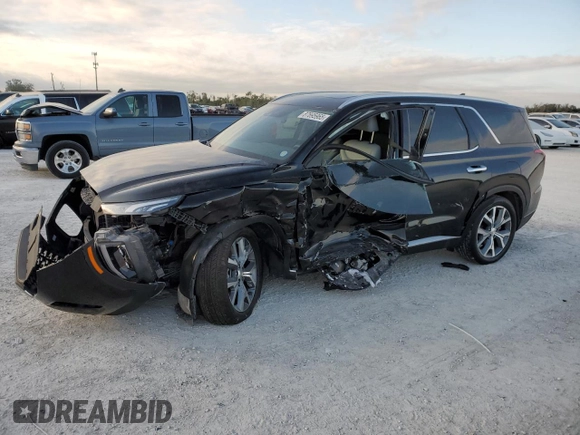 2022 Hyundai Palisade SEL with VIN KM8R44HE8NU383412, listed as a Copart auction lot 87695965 with Not provided miles and Non repairable. Bid and sale history available at DreamBid. Image 1.