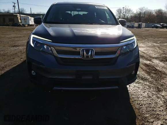 2022 Honda Pilot EX-L with VIN 5FNYF6H55NB023156, listed as a Copart auction lot 52269325 with 43,563 mi miles and Salvage title. Bid and sale history available at DreamBid. Image 11.