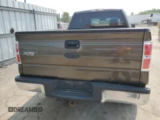 2009 Ford F-150 STX with VIN 1FTRX14849FA73732, listed as a Copart auction lot 59317545 with 162,744 mi miles and Salvage title. Bid and sale history available at DreamBid. Image 6.