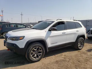 2020 Jeep Cherokee Trailhawk Elite with VIN 1C4PJMBN3LD537812, listed as a Copart auction lot 73635994 with 43,496 mi miles and Clean title. Bid and sale history available at DreamBid. Image 1.