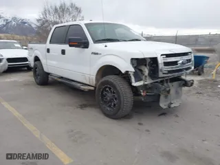 2014 Ford F-150 XL with VIN 1FTFW1EF1EFB02696, listed as a IAAI auction lot 41758358 with 250,297 mi miles. Bid and sale history available at carsss.com. Image 1.
