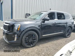 2020 Kia Telluride SX with VIN 5XYP5DHC5LG021690, listed as a Copart auction lot 60921535 with 66,462 mi miles and Salvage title. Bid and sale history available at DreamBid. Image 1.