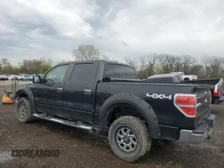 2010 Ford F-150 XL with VIN 1FTFW1EV1AKB33018, listed as a Copart auction lot 54377785 with 160,695 mi miles and Salvage title. Bid and sale history available at DreamBid. Image 2.