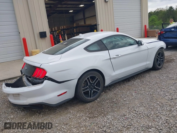 2023 Ford Mustang EcoBoost с VIN 1FA6P8TH2P5110069, выставлен на аукционе IAAI как лот 41941535 с пробегом Не указан миль и . История ставок и продаж доступна на DreamBid. Изображение 4.