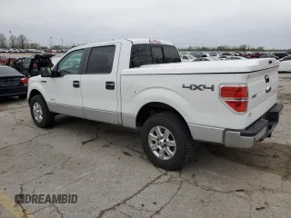 2013 Ford F-150 XL with VIN 1FTFW1ET4DFD80531, listed as a Copart auction lot 51670685 with 180,871 mi miles and Salvage Title. Bid and sale history available at carsss.com. Image 2.