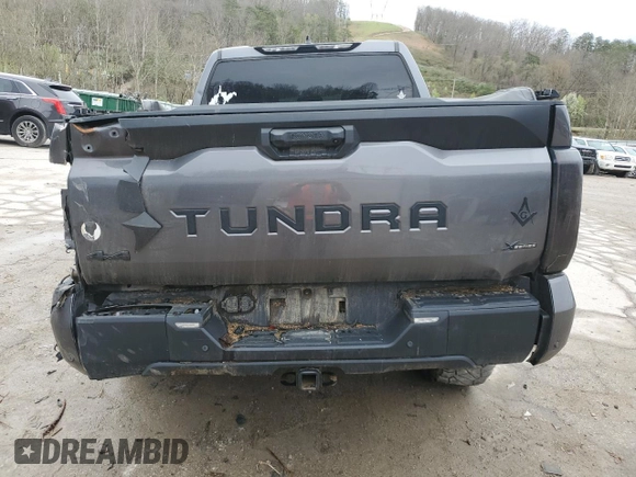 2023 Toyota Tundra SR5 with VIN 5TFLA5DB7PX064282, listed as a Copart auction lot 51097575 with Not provided miles and Salvage title. Bid and sale history available at DreamBid. Image 6.