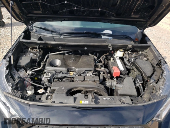 2019 Toyota RAV4 Adventure with VIN 2T3J1RFV7KW006630, listed as a Copart auction lot 44582775 with 52,174 mi miles and Salvage title. Bid and sale history available at DreamBid. Image 14.