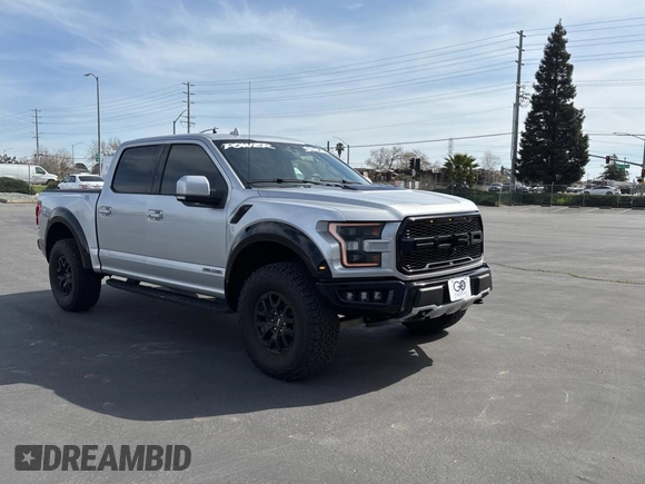 2017 Ford F-150 Raptor with VIN 1FTFW1RG9HFC17974, listed as a Copart auction lot 48812925 with 50,406 mi miles and Clean Title. Bid and sale history available at carsss.com. Image 1.