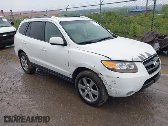 2007 Hyundai Santa Fe SE with VIN 5NMSH73E67H126018, listed as a IAAI auction lot 42309323 with Not provided miles and . Bid and sale history available at DreamBid. Image 1.