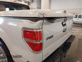 2010 Ford F-150 XL with VIN 1FTEW1C83AFB58732, listed as a IAAI auction lot 41361679 with 203,701 mi miles and . Bid and sale history available at DreamBid. Image 12.