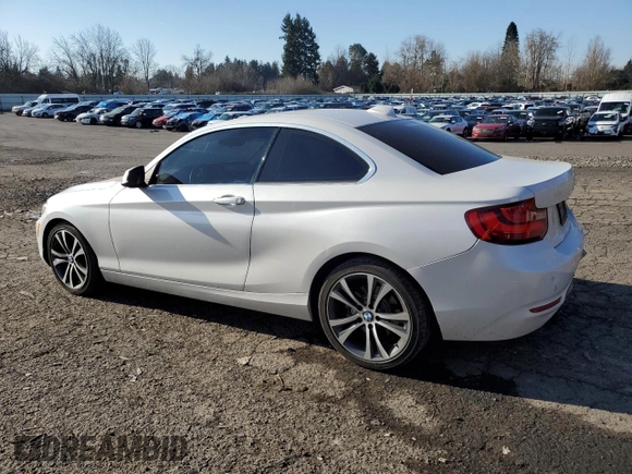 2016 BMW 2 Series 228i with VIN WBA1F9C59GV545896, listed as a Copart auction lot 42260055 with 68,755 mi miles and Salvage Title. Bid and sale history available at DreamBid. Image 2.