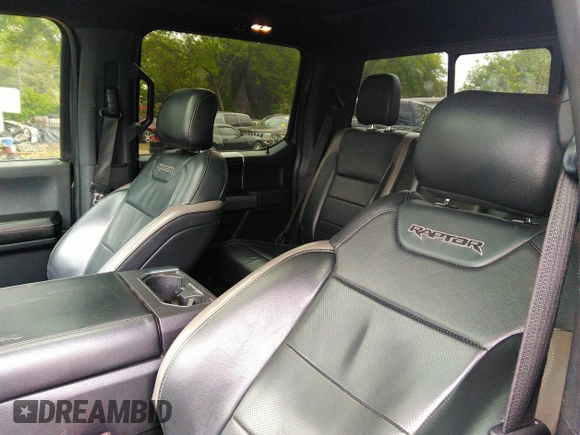 2017 Ford F-150 Raptor with VIN 1FTFW1RG8HFA31164, listed as a IAAI auction lot 42125542 with 164,745 mi miles and . Bid and sale history available at carsss.com. Image 18.