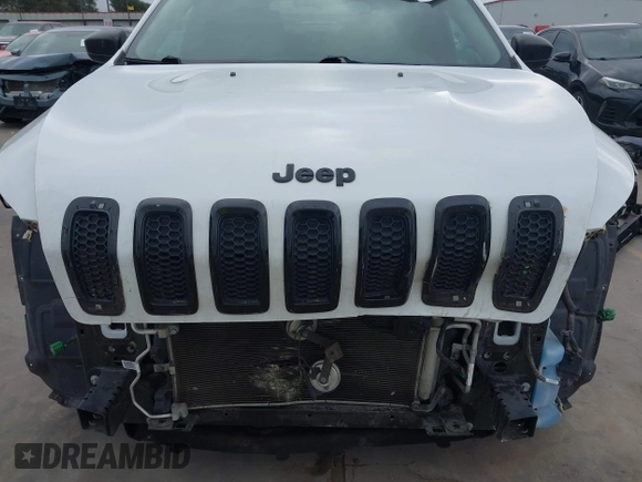 2017 Jeep Cherokee Sport with VIN 1C4PJLAB4HW619593, listed as a IAAI auction lot 42177037 with 113,674 mi miles and . Bid and sale history available at DreamBid. Image 6.