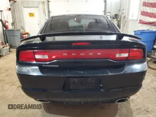 2013 Dodge Charger SE with VIN 2C3CDXBG1DH725486, listed as a Copart auction lot 49420265 with 215,154 mi miles and Salvage Title. Bid and sale history available at DreamBid. Image 6.