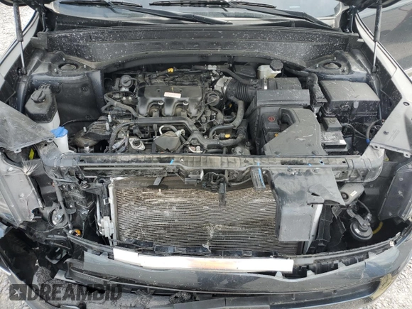 2022 Kia Telluride EX with VIN 5XYP3DHC9NG313013, listed as a Copart auction lot 55946615 with 58,276 mi miles and Salvage title. Bid and sale history available at DreamBid. Image 12.