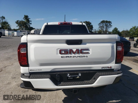2024 GMC Canyon 4WD AT4 with VIN 1GTP6DEK9R1216337, listed as a Copart auction lot 73501714 with 4,375 mi miles and Salvage Title. Bid and sale history available at carsss.com. Image 6.