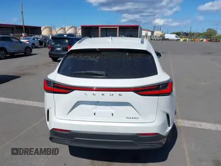 2025 Lexus NX 250 Premium with VIN JTJGDCAZ2S2020658, listed as a IAAI auction lot 42036187 with 2,404 mi miles and . Bid and sale history available at DreamBid. Image 17.
