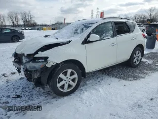 2010 Nissan Murano LE with VIN JN8AZ1MW8AW134658, listed as a Copart auction lot 45896465 with 137,943 mi miles and Salvage Title. Bid and sale history available at carsss.com. Image 1.
