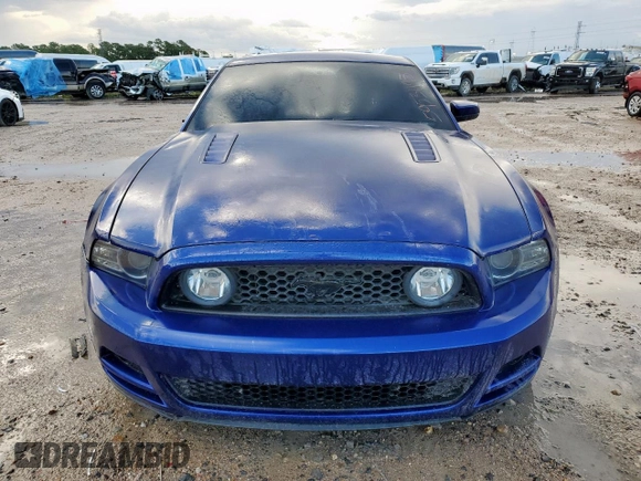 2013 Ford Mustang GT with VIN 1ZVBP8CF1D5244913, listed as a Copart auction lot 59531195 with 102,109 mi miles and Salvage title. Bid and sale history available at DreamBid. Image 5.