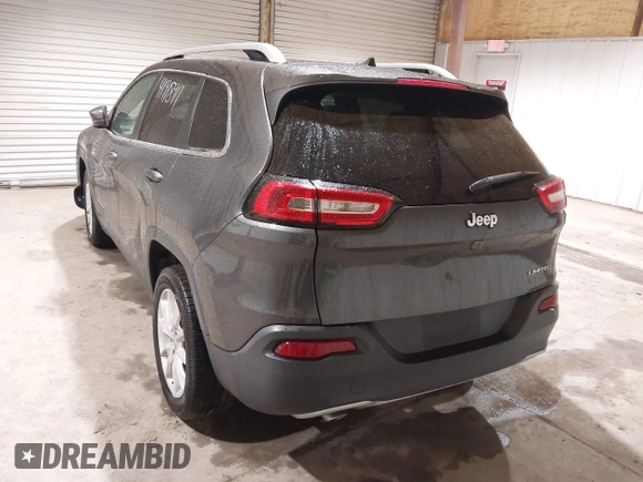 2016 Jeep Cherokee High Altitude with VIN 1C4PJLDB6GW280989, listed as a IAAI auction lot 41918911 with 142,695 mi miles. Bid and sale history available at carsss.com. Image 3.